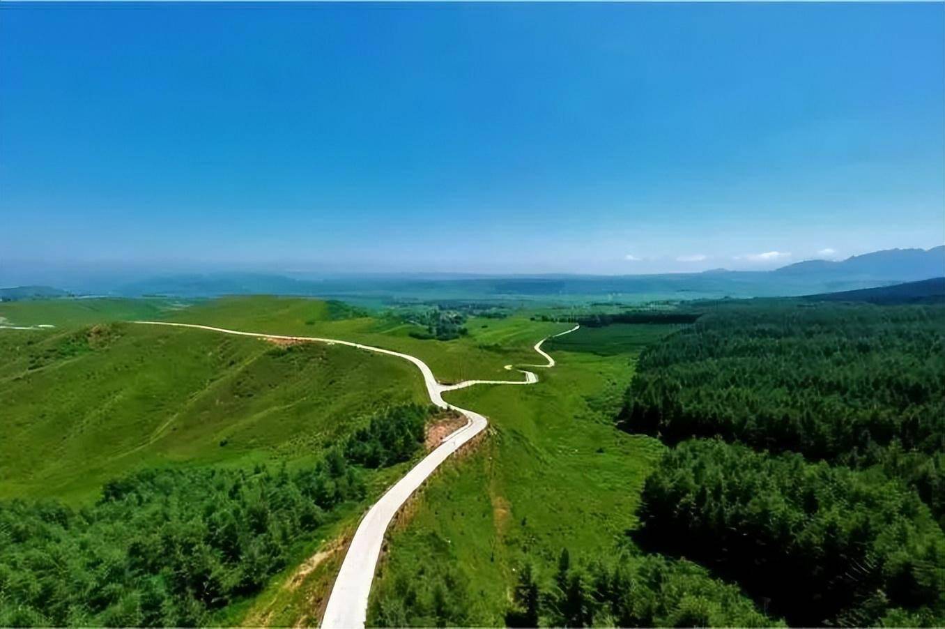 在定西,找到避暑纳凉的n种方式_夏天_岷县_湿地