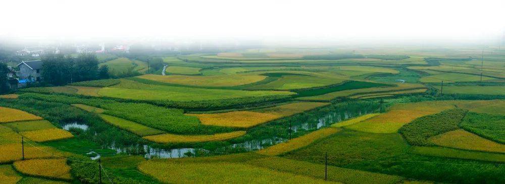 【康养胜地 人文兴义】夏日凉爽就去兴仁鲤鱼坝村_景区_刺绣_民族