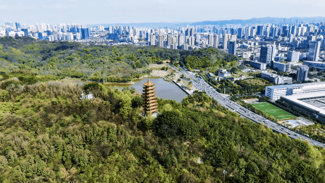 打卡两江·照母山