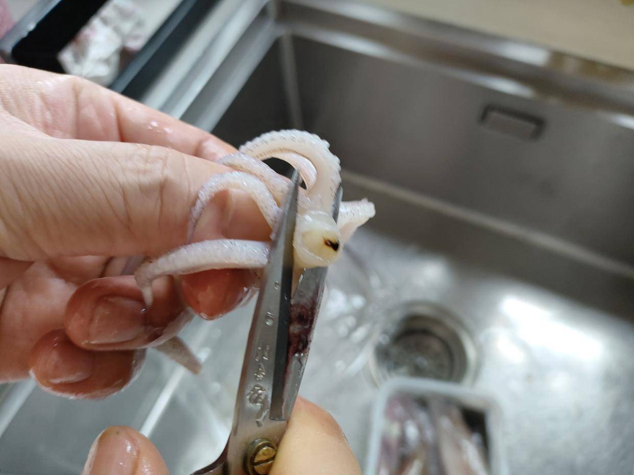 凉拌海带_小管_鱿鱼
