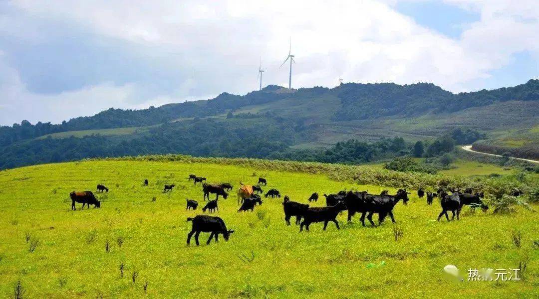 休闲玉溪 纯净之旅|五大精品线路带你深度解锁元江火把节!