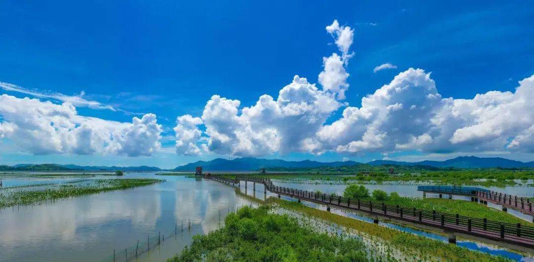 惠东南湖公园景点介绍图片