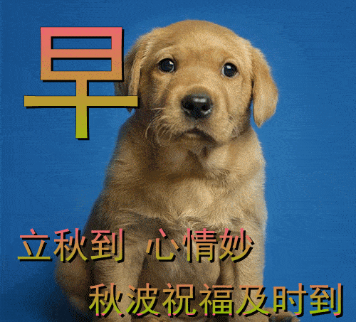 8月8日立秋早上好动态表情图片大全,早晨好动图美图大全_祝福_生活