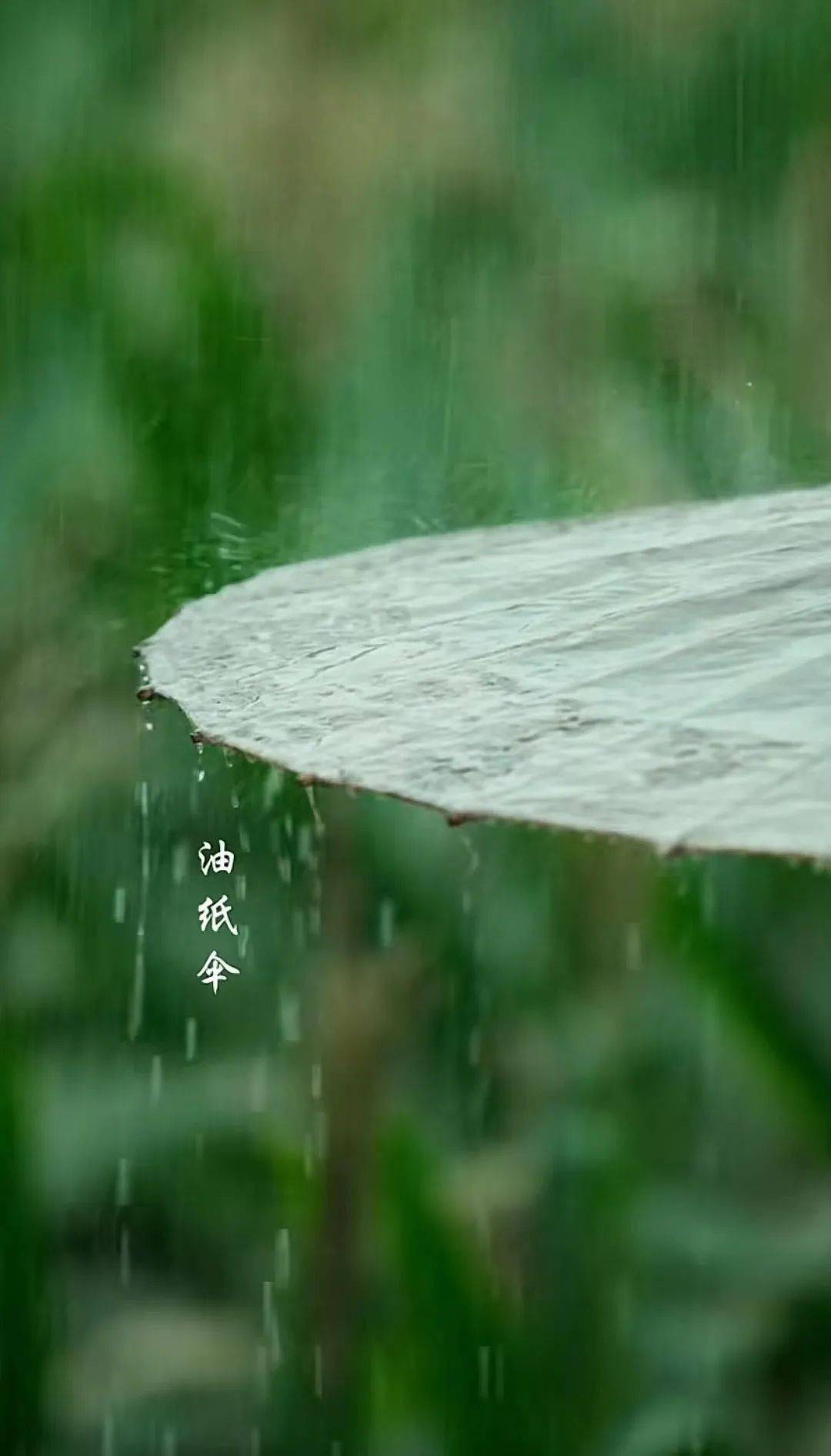 油纸伞中凝怨黛,丁香花下湿清眸.幽梦一帘收