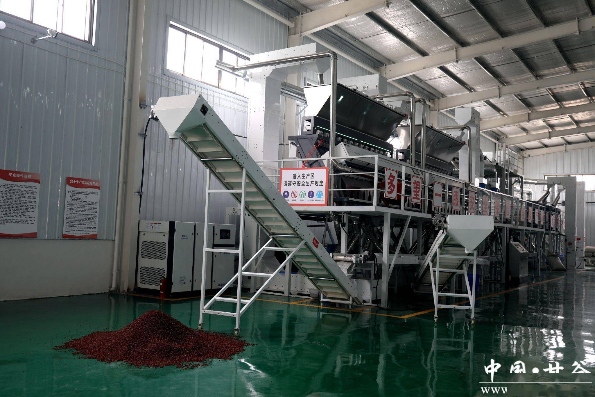 以此达到增加花椒产值的目的,椒农将新采摘的花椒送到花椒加工厂和