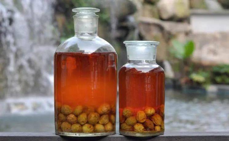 客家特色浸酒,你喝过几种?_的作用_桑葚酒_人参