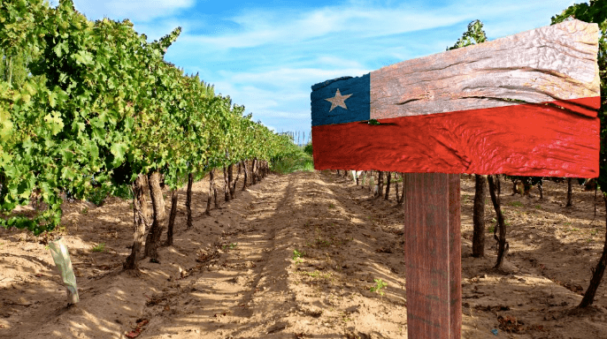 chilean-exports-to-the-u-s-up-fivefold-says-year-america