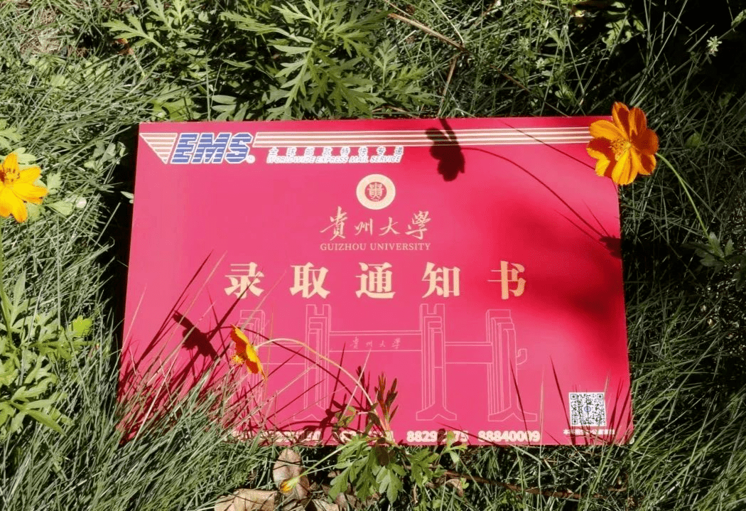 大门制作图片大全书图片