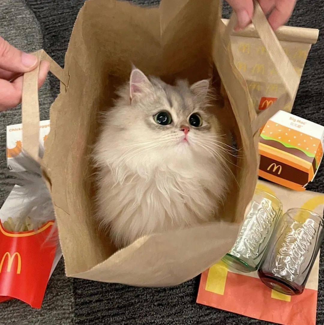 头像 | 超级nice的微信头像 先收藏一波