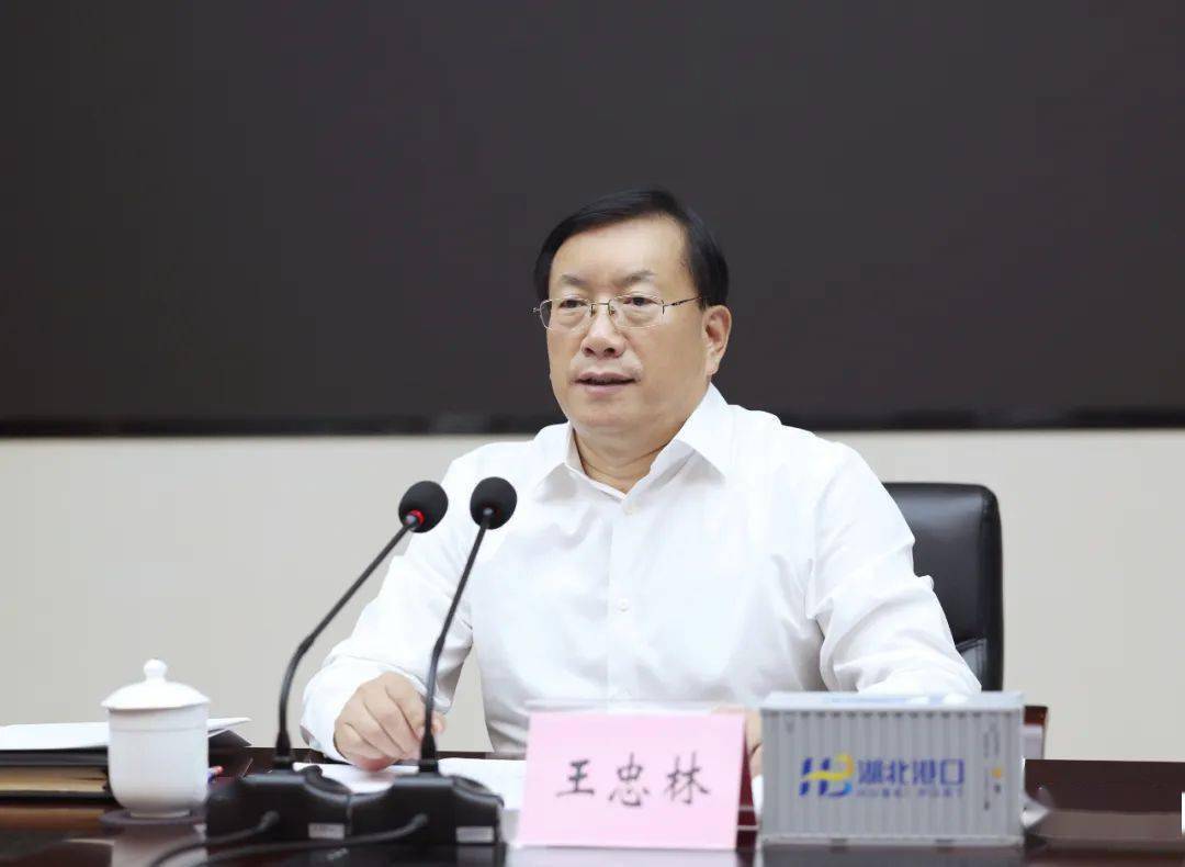 湖北省委副书记,省长王忠林调研推进长江航运高质量发展