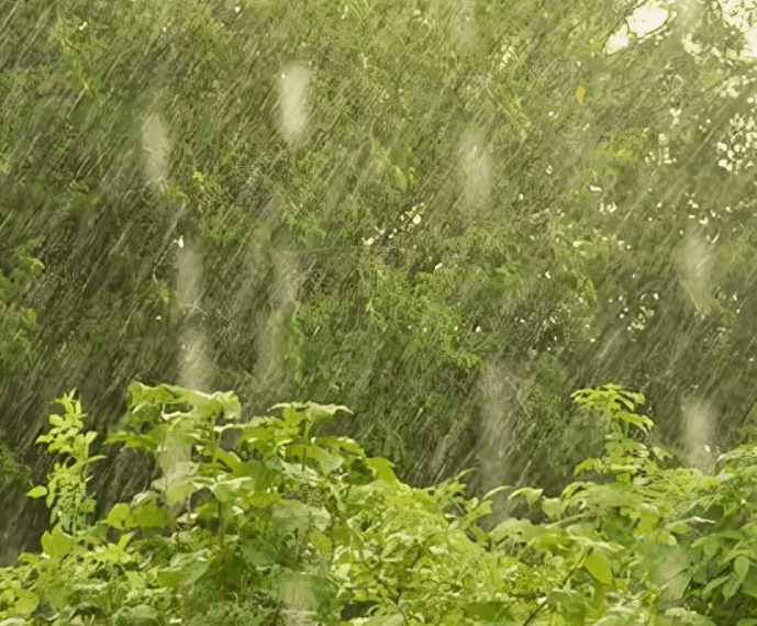 雨,大雨,大暴雨,狠狠敲打着窗台,倾盆几日不肯停.