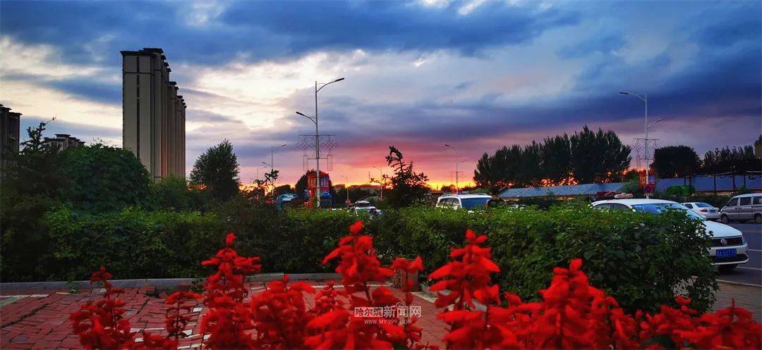 全市三天天气预报