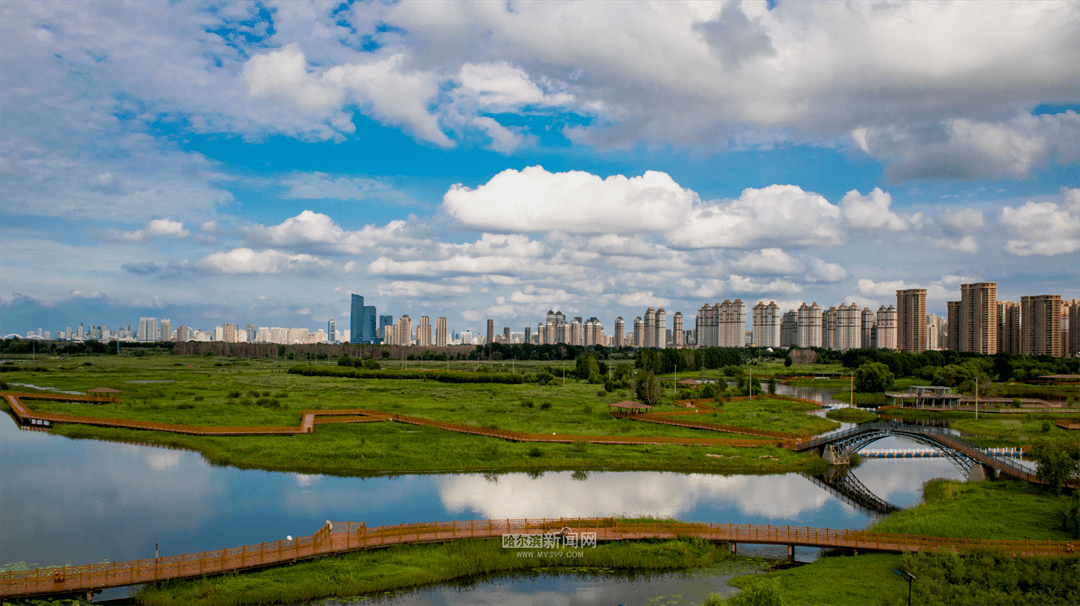 全市三天天气预报
