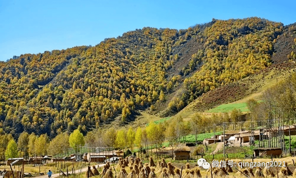仓家峡森林公园瞿昙寺小故宫卯寨景区青海河湟碑林柳湾彩陶博物馆乐都