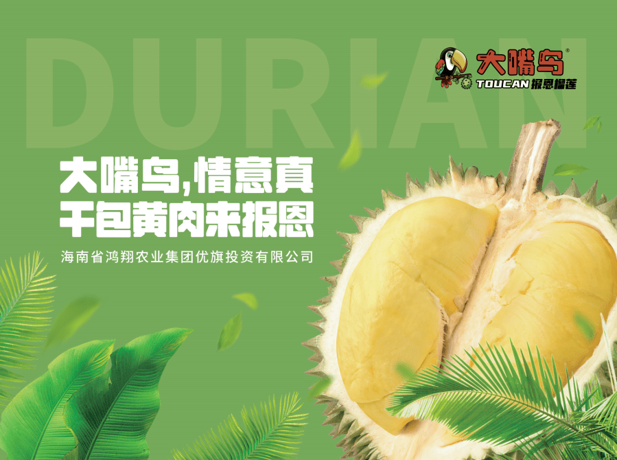 大嘴鸟榴莲 国产榴莲行业"标品"领军人_优旗_海南省_产业