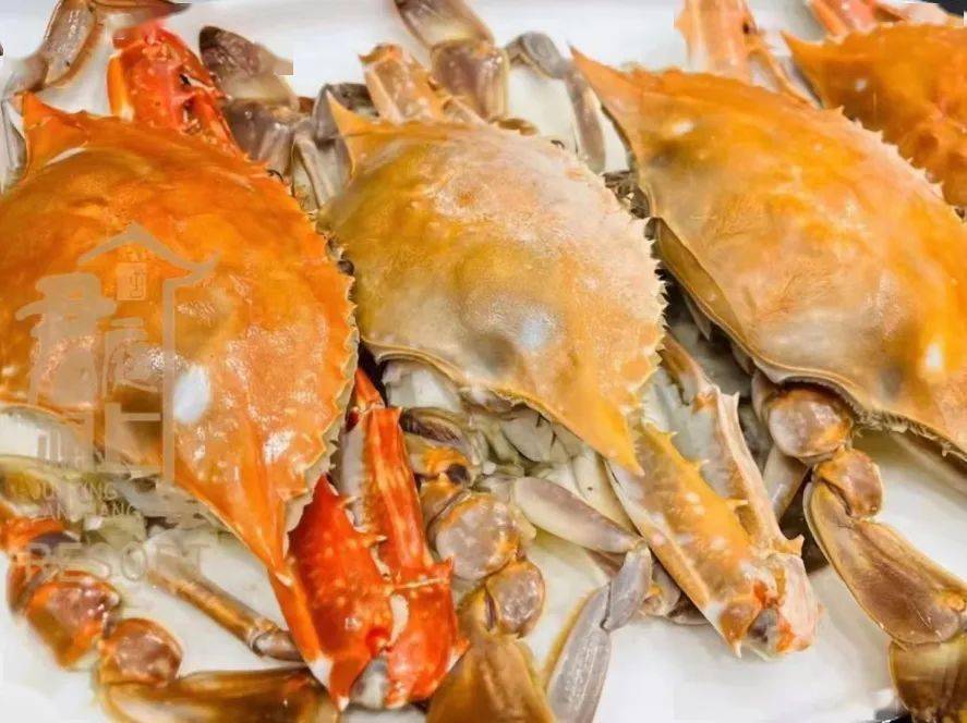 洞头"最海鲜"集散中心今天正式开业啦!_旅游_螃蟹_攻略