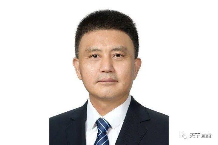 他任新华社副秘书长,系安徽枞阳人