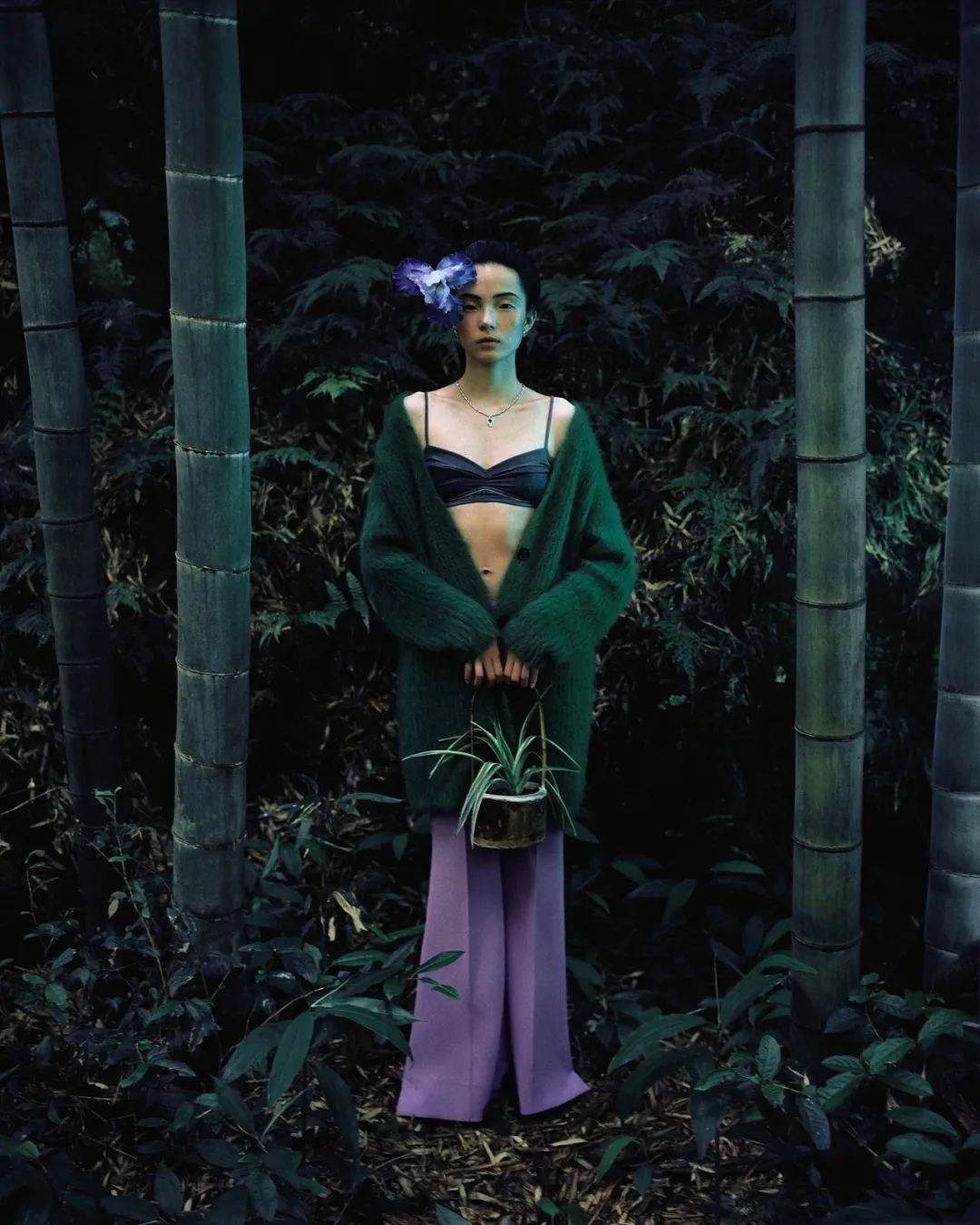 张家诚摄影作品分享