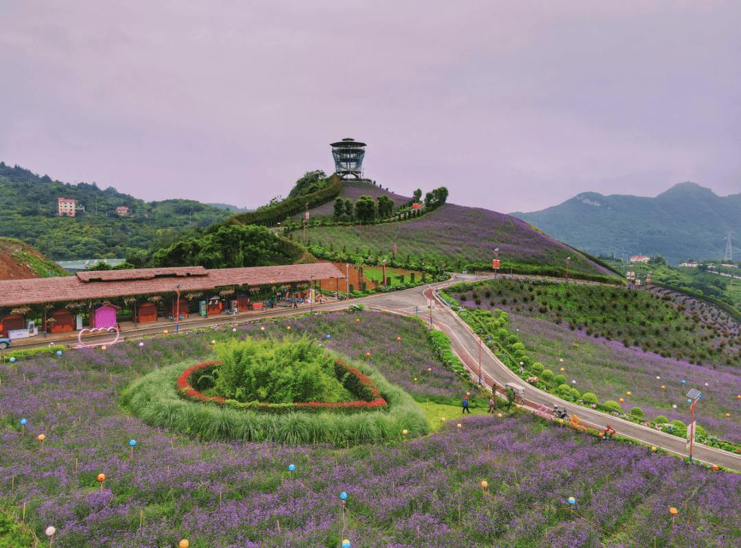 黔北花海景区电话图片