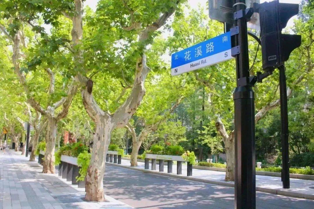 绿色美景自然天成,科技赋能低碳生活……普陀曹杨街道把"绿色"刻进"