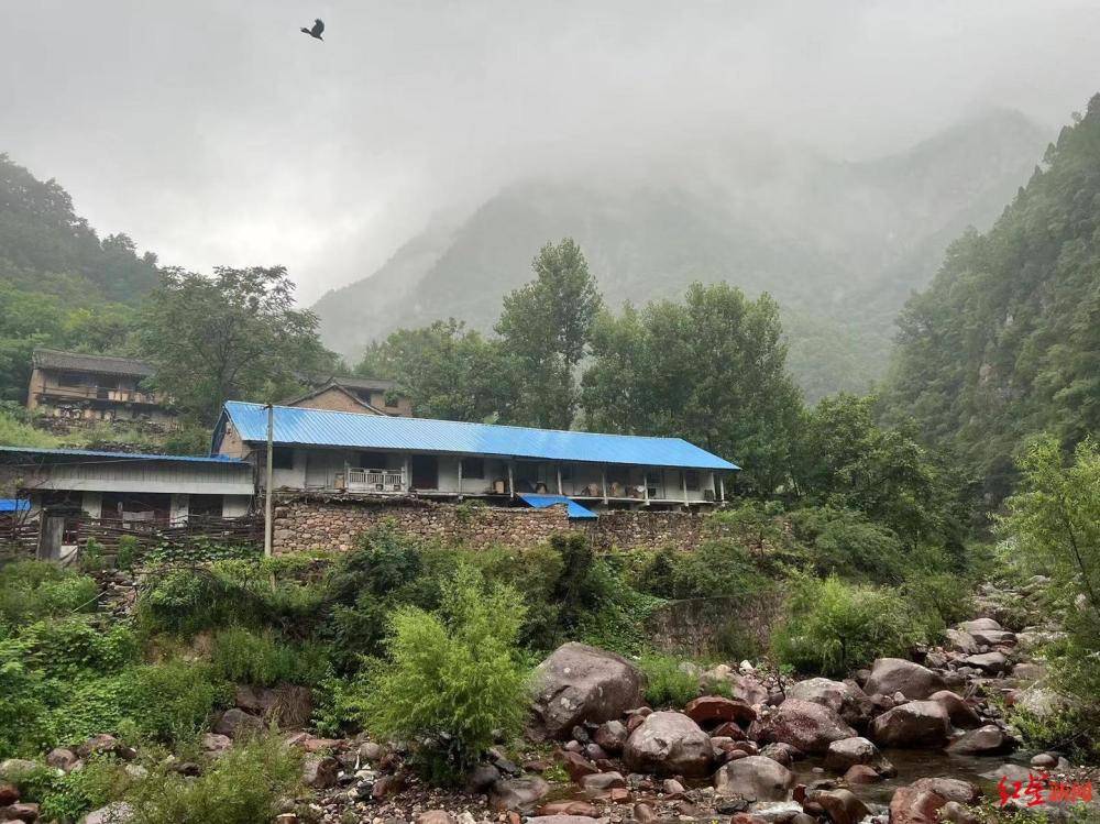 山西4A景区引猴下山，数百二级保护动物侵扰村庄