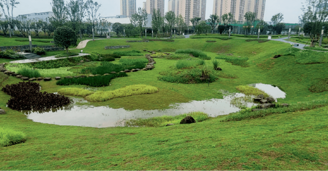 雨后的工业园地块下凹绿地97生态修复技术应用基于场地的复杂性,不