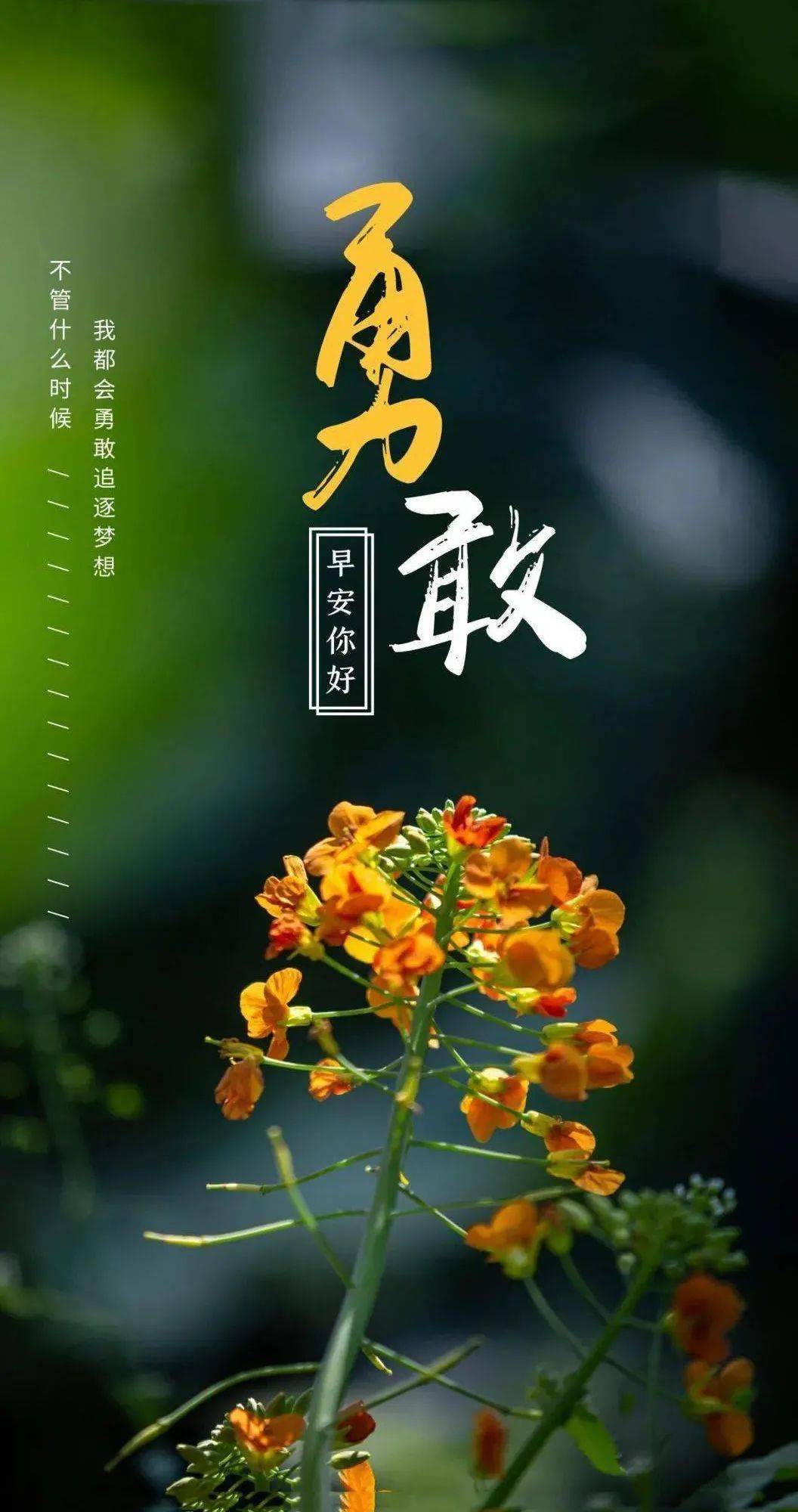 8月16日早安正能量明净语录句子:不要在夕阳西下时幻想,要在旭日东升