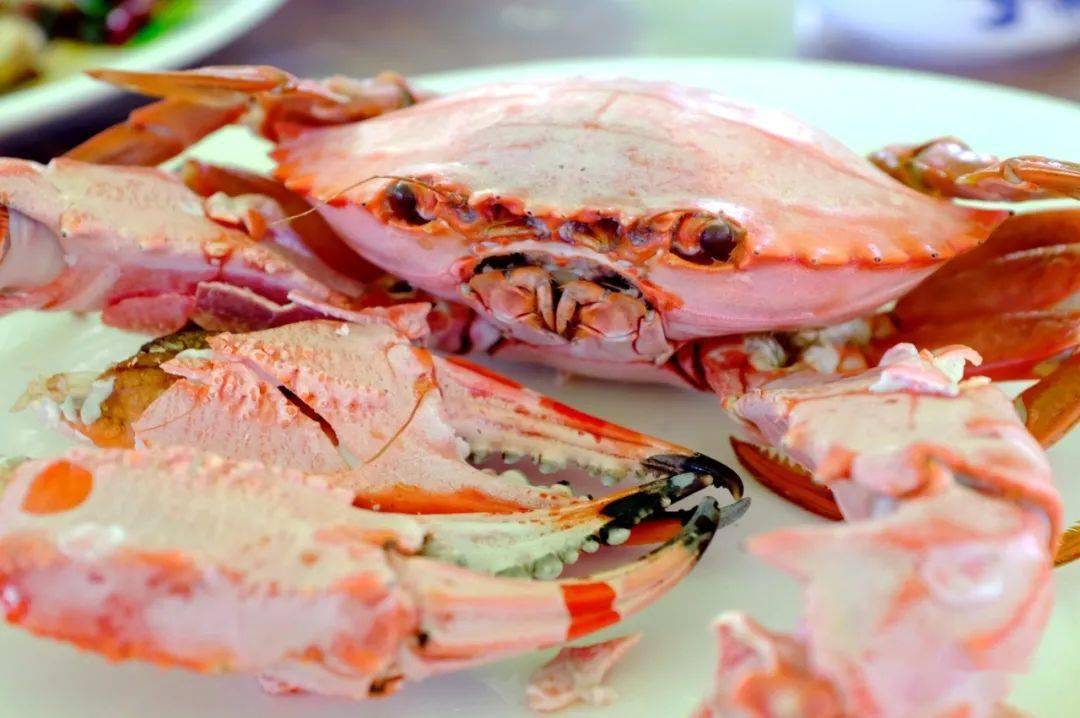 家常炖牛鱼,好像东北菜,浓浓的酱还搁着韭菜,硬邦邦