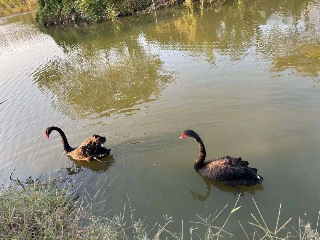 新生特辑 | @23级新生,这是你想要的江海大建筑吗(上)_苍梧_校区_大学