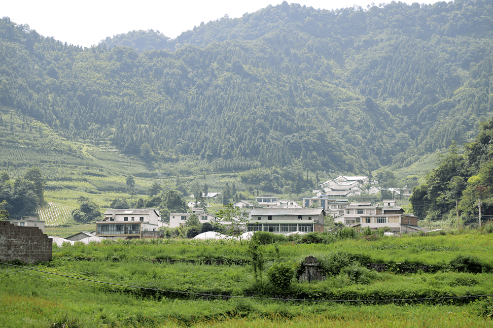 建設_盤村_蒿壩鎮