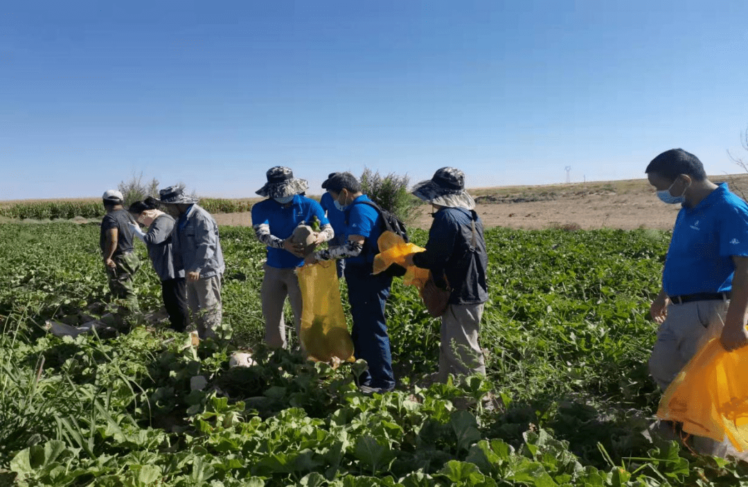 【县域共青团改革】吉兰泰镇团委:"团"聚青春力量 打造青春生力军