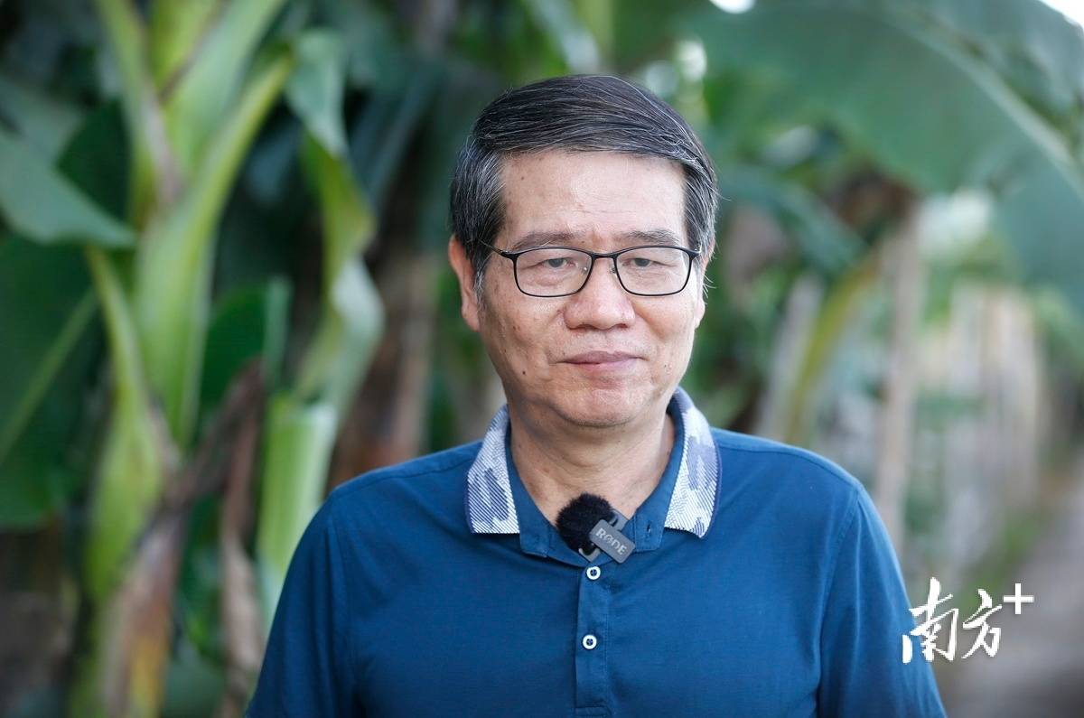 张应龙：在乡村振兴中闯出新时代“侨”特色_叶志文_文化_乡亲