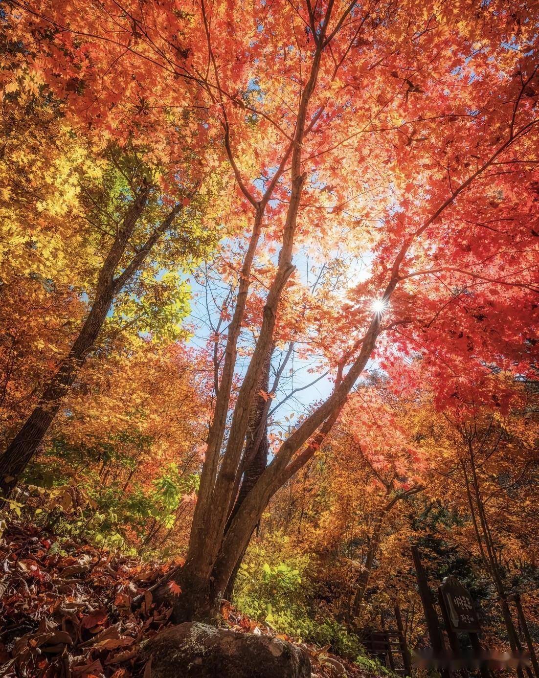 7句大白话摄影口诀,新手也能拍美风景照片,超级好学_画面_角度_场景