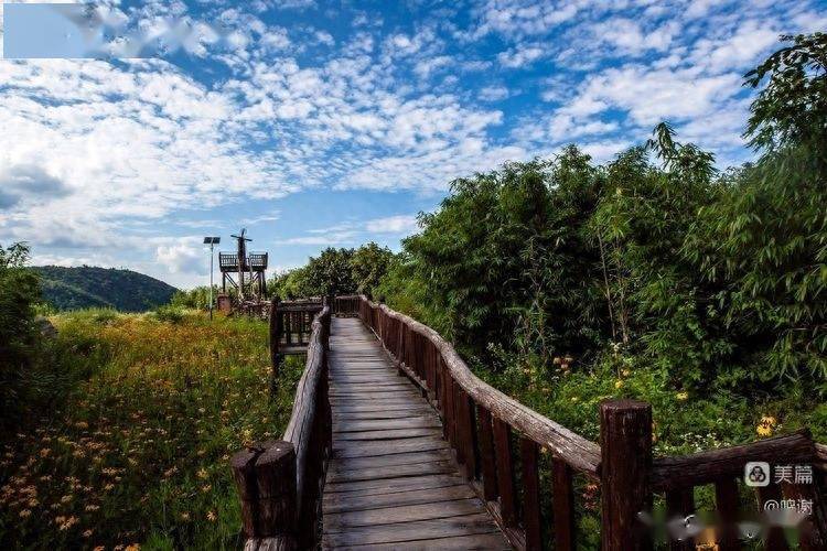 草坝纳凉小记_景区_镇巴县_云海