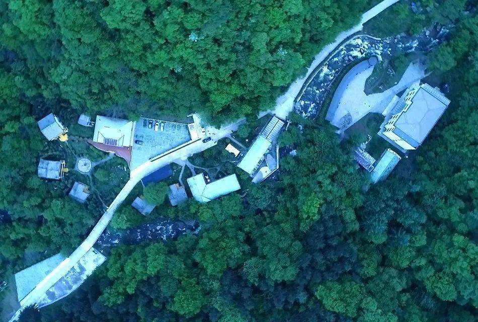 东岔镇桃花沟:树木葱茏花似锦 流水潺湲景如画_麦积区_森林_景区