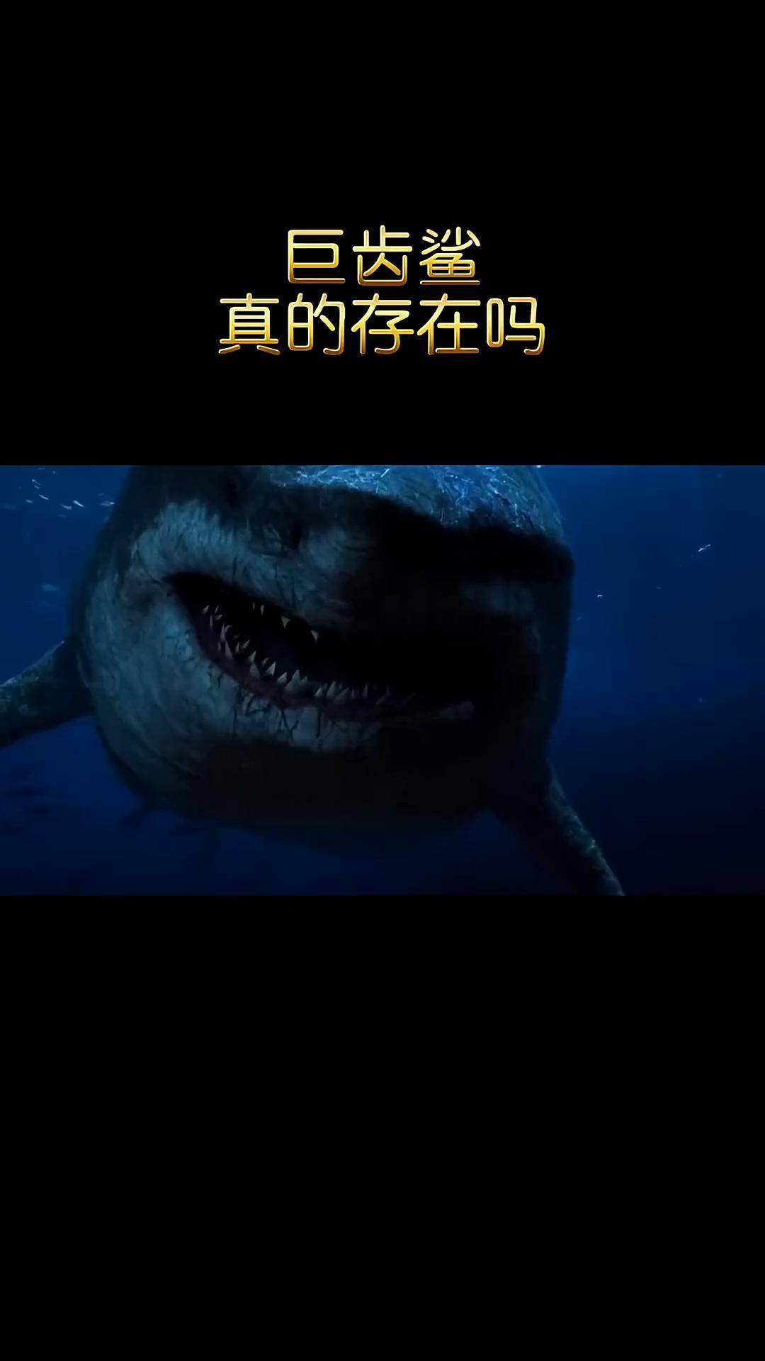 真的有巨齿鲨存在吗
