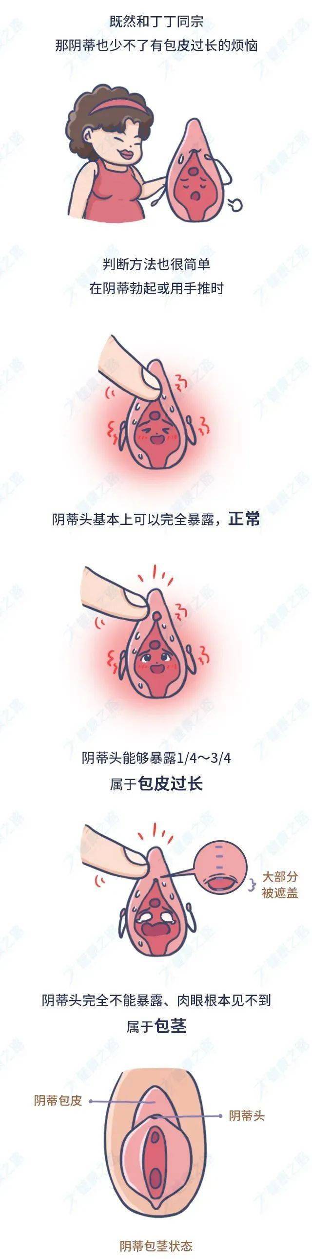 来自搜狐网