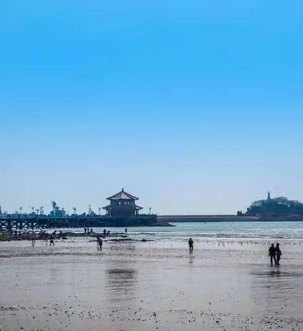 24號青島極地 棧橋公園一日親子游_海洋_動物_遊客