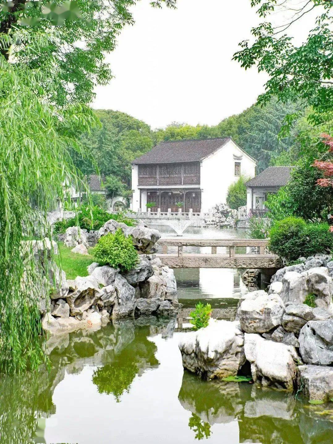 之咖啡现今的愚园动物们如今的愚园拥有着南京私家园林中最大的湖泊