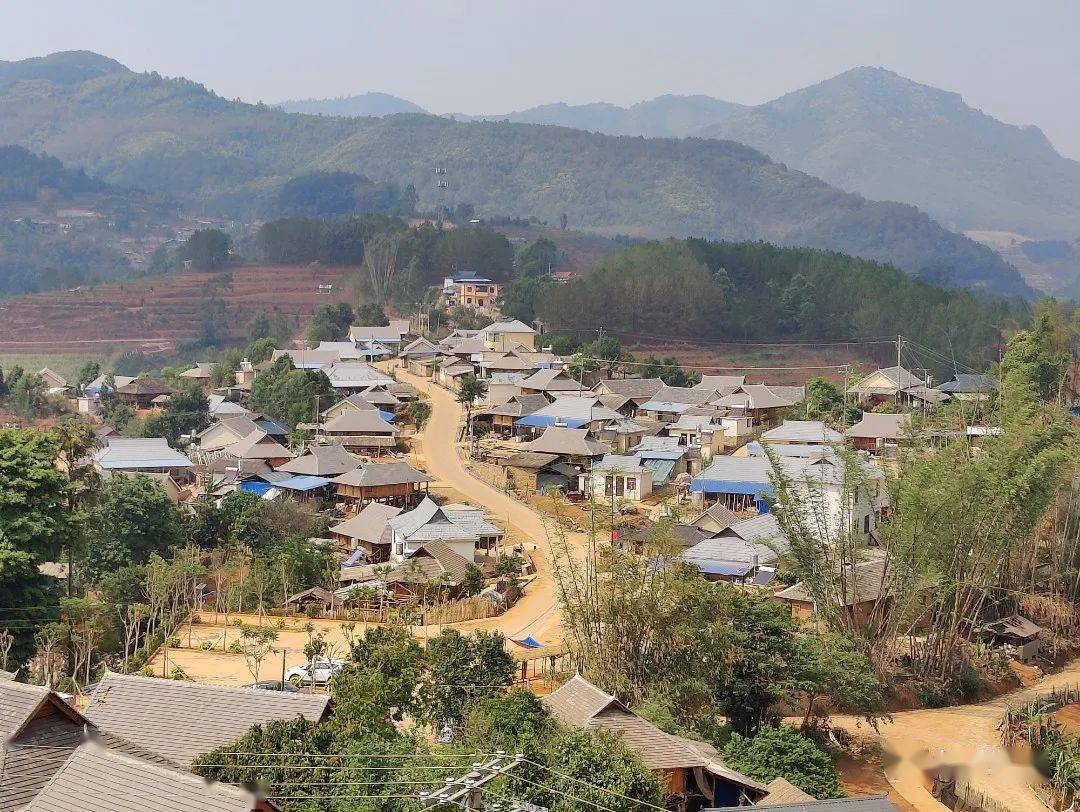 绿美澜沧│东回镇:绿美乡村入画来_生活_利村_村庄