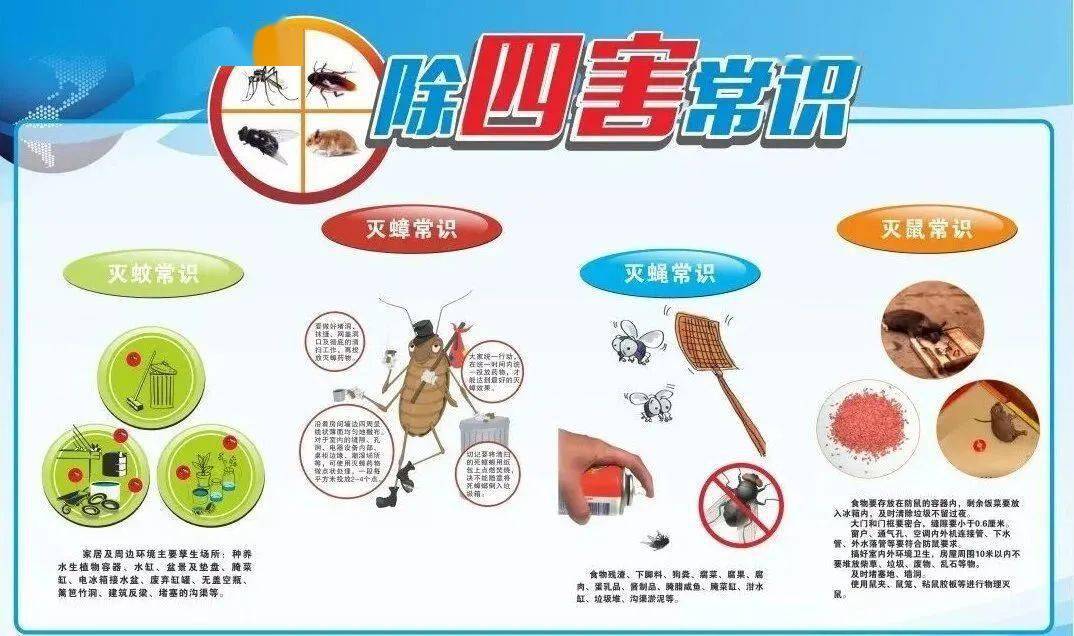 【创文明卫生城 做健康幸福人】除四害 护健康_传播_重点_蟑螂