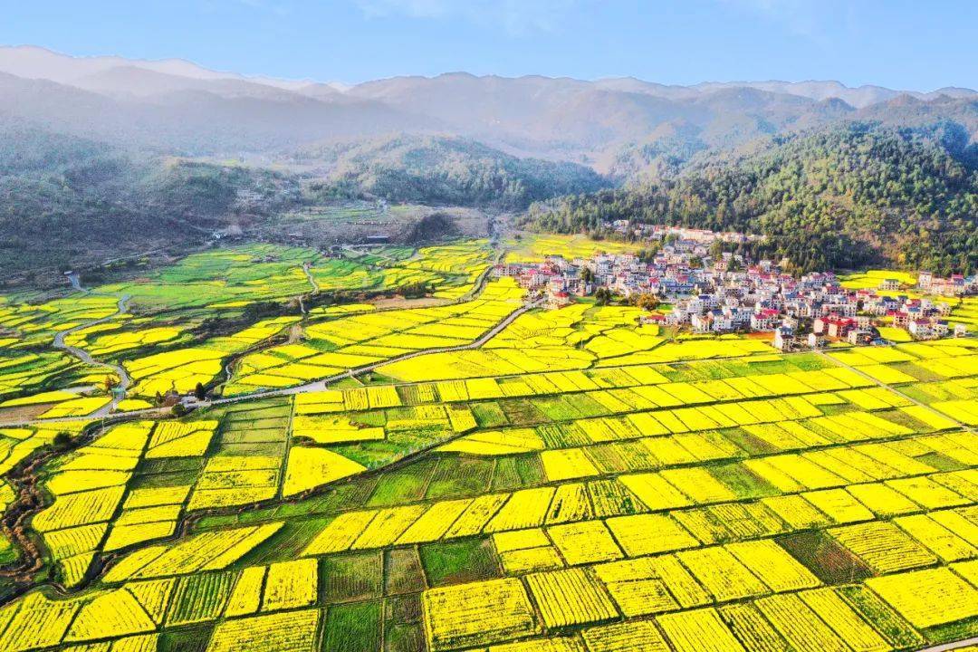 双林夏布文化旅游景区图片