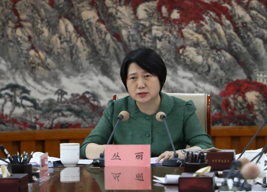丛丽主持召开市委书记专题办公会议