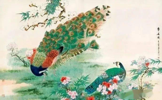 田世光画孔雀,你怎能不爱!