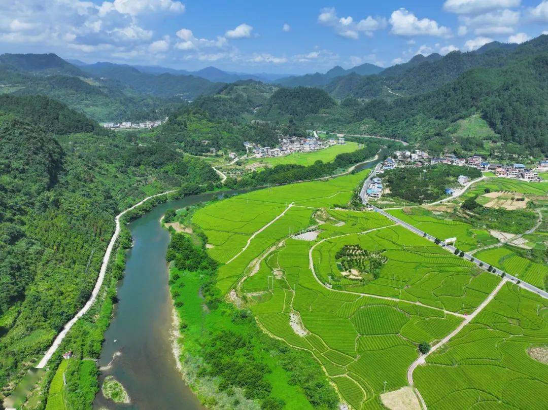 岑巩|龙江河畔的水美乡村画卷_贵州省_龙田镇_治理