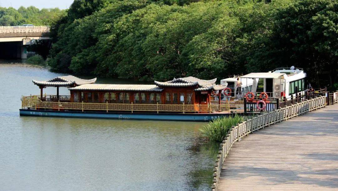 【图说·绍兴】夏日的梅山公园_摄影_古越_夏色