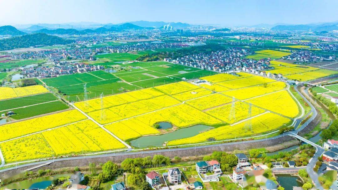 临浦镇:"未来大地"提升乡村附加值_工程_萧山区_城乡