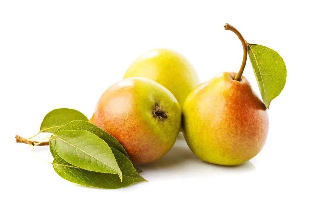 而且梨还是一味很好的中药.