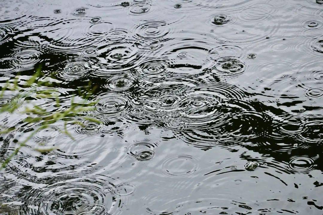 雨暂休,热未散……_天气_雨水_生活