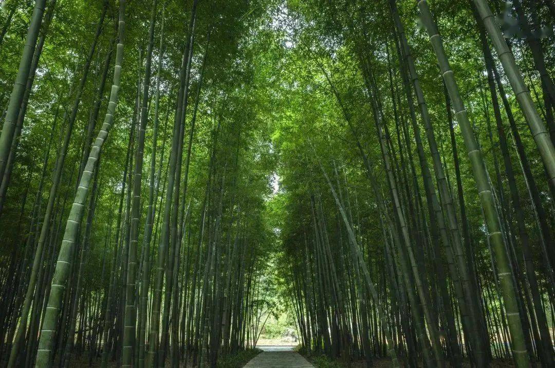 孟浩然:用唐诗记录美好生活_襄阳_万山_苏岭